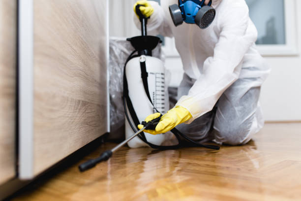 Best Mosquito Control Services  in Alcoa, TN