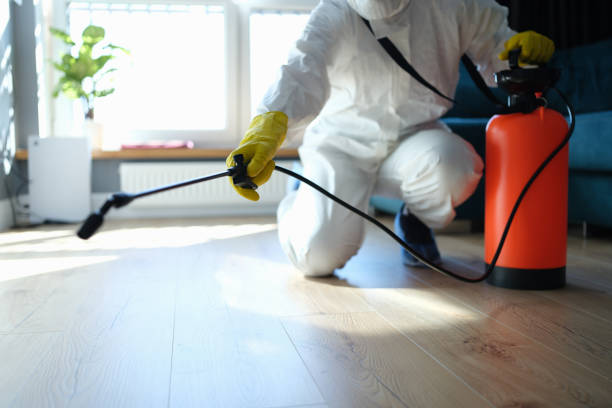 Wasp Removal Services in Alcoa, TN