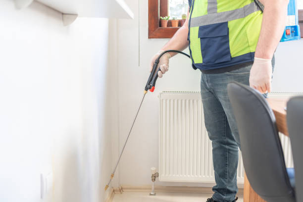 Best Affordable Pest Control Services  in Alcoa, TN