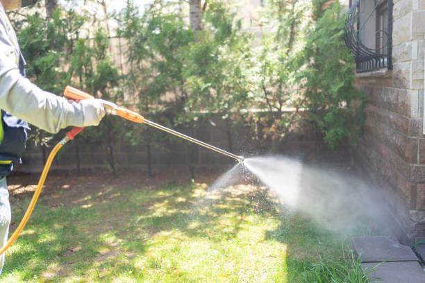 Best Flea Control Services  in Alcoa, TN
